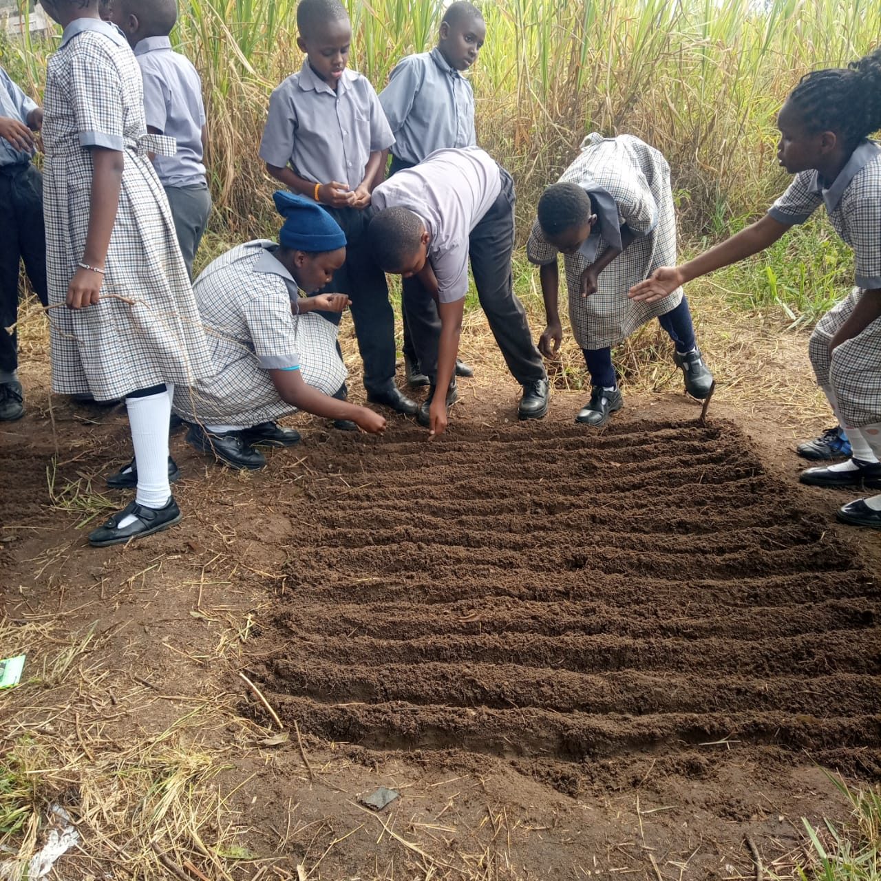 Outdoor agriculture activity